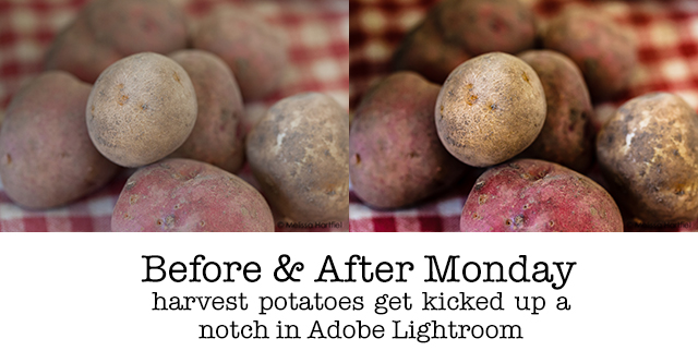 before & after potatoes in lightroom