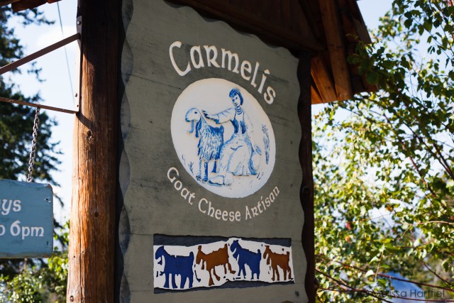 Carmelis Goat Cheese Artisan