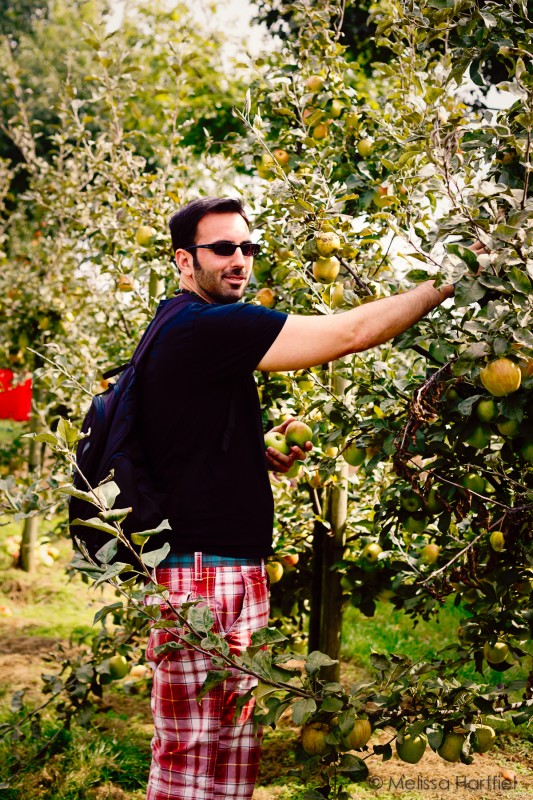 Ethan picking apples