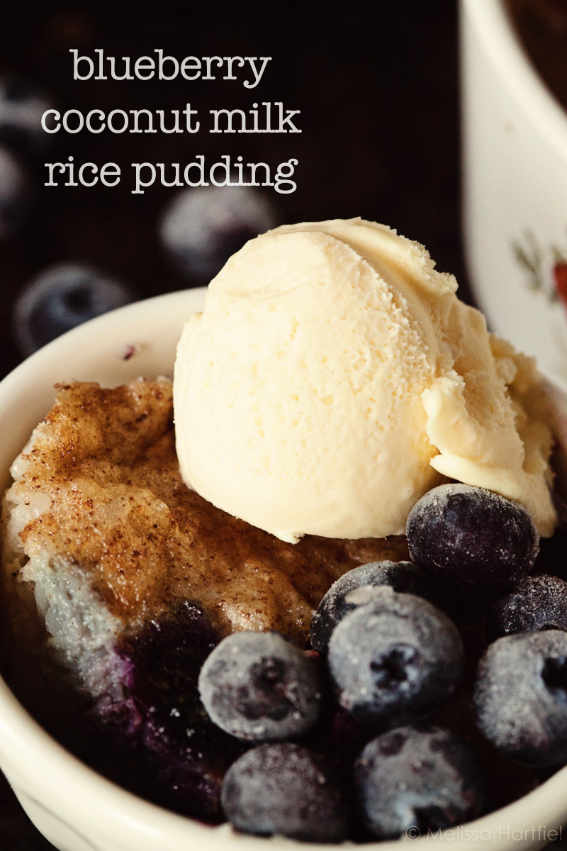 Easy Blueberry Coconut Rice Pudding Recipe | eyes bigger than my stomach